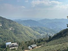 -长沙黑麋峰国家森林公园