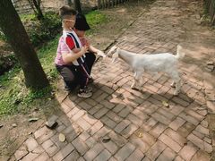 -广东花都香草世界旅游度假区