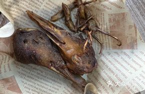 Taiwan Dongshan Duck Head