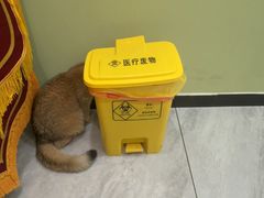 -悦宠动物医院(京丰分院)