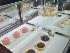 -sugarman espresso素饮糖人高新咖啡工厂