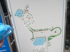 -广东惠东海龟国家级自然保护区
