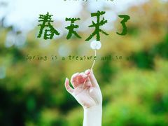 -尚贤河湿地