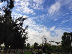 -宝安西湾红树林湿地公园