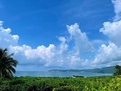 -三亚亚龙湾天域度假酒店