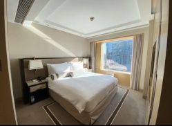 -巍阁高端月子会所