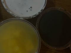 -豆豆冰室·地道招牌椰子冻(大良店)