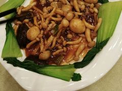 -同乐馆(阳光店)
