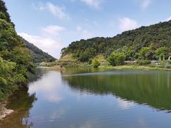 -广州市石门国家森林公园