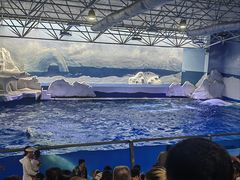 -秦皇岛乐岛海洋王国