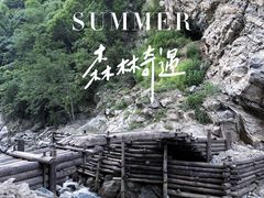 -少华山国家森林公园