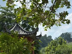 -广州神农草堂中医药博物馆
