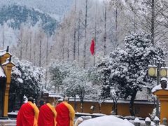 -九华山风景区