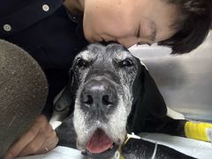 -谐和贝康宠物医院24小时·宠保定点(急重症转诊中心)