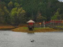 -千岛湖龙川湾
