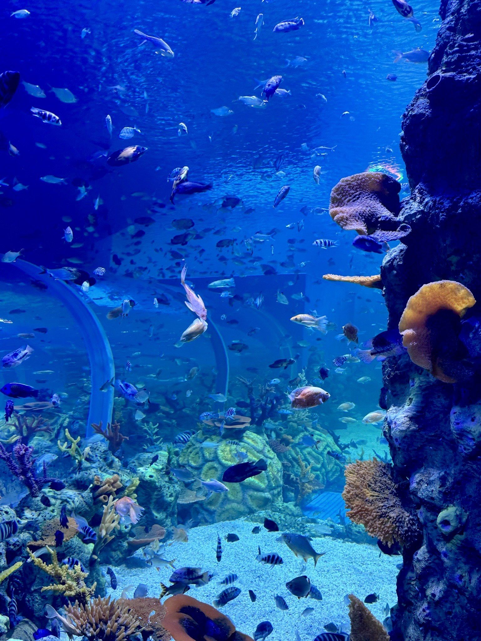 omg020202谁家好大人还没带孩子去啊!