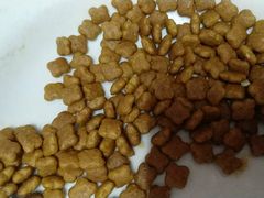 -1013 PET SHOP 宠物商店(近铁城市广场店)