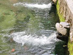 -环城公园