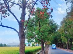 -嘉北郊野公园
