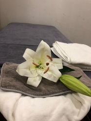 点击看大图 -薇薇安花系SPA