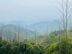 -莫干山风景区