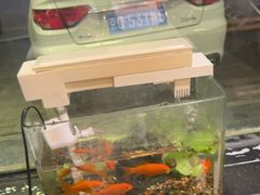 -天和晟烤鸭店(玉泉西街店)