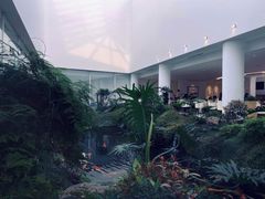 -罗红摄影艺术馆