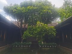-八大山人梅湖景区