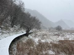 -大九湖