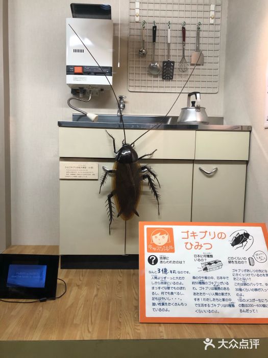 大阪市立自然史博物馆图片