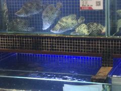 水产区-欢乐海岸美食联盟