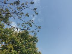 -洋湖国家湿地公园