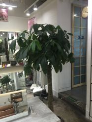 -木北护肤造型