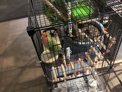 -ITA·意塔意大利餐厅(亦庄店)