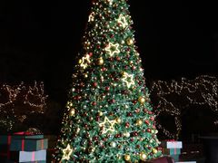 -杭州西子湖四季酒店-WL BISTRO西湖餐厅(灵隐路店)