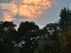 -观宴·品质赣菜(高新大道店)