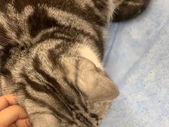 -美联众合动物医院·24h京西诊疗中心