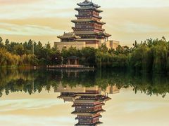 -鲜芋仙Meet Fresh(五道口店)