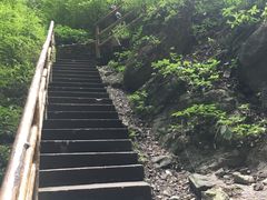 -武隆天坑地缝国家地质公园
