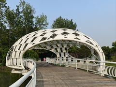 -同里国家湿地公园
