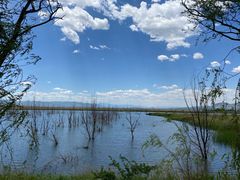 -野鸭湖国家湿地公园