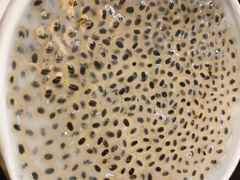 -文昌邓记清补凉(西沙路店)