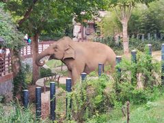 -济南野生动物世界