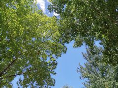 -南宫五洲植物乐园