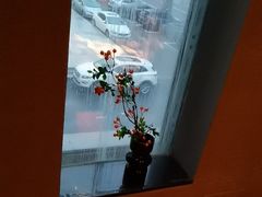 -千代武日本料理(爱建店)