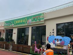 -上海长兴岛郊野公园