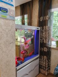 -资医堂专业袪痘袪斑