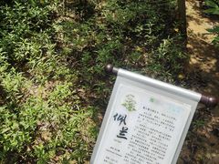 -世间香境·七溪地