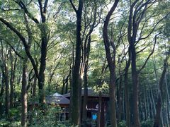 -同里国家湿地公园