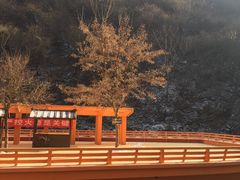 -少华山国家森林公园